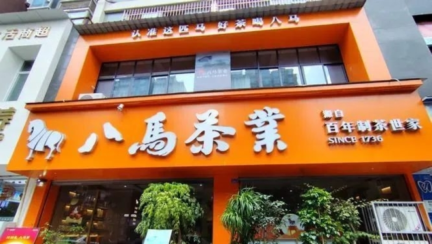 944CC天下彩线路入口1,特朗普谈普京：他聪明又狡猾,成语解释落实可能存在的问题_创意版V13.24